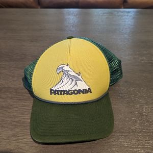 Patagonia hat